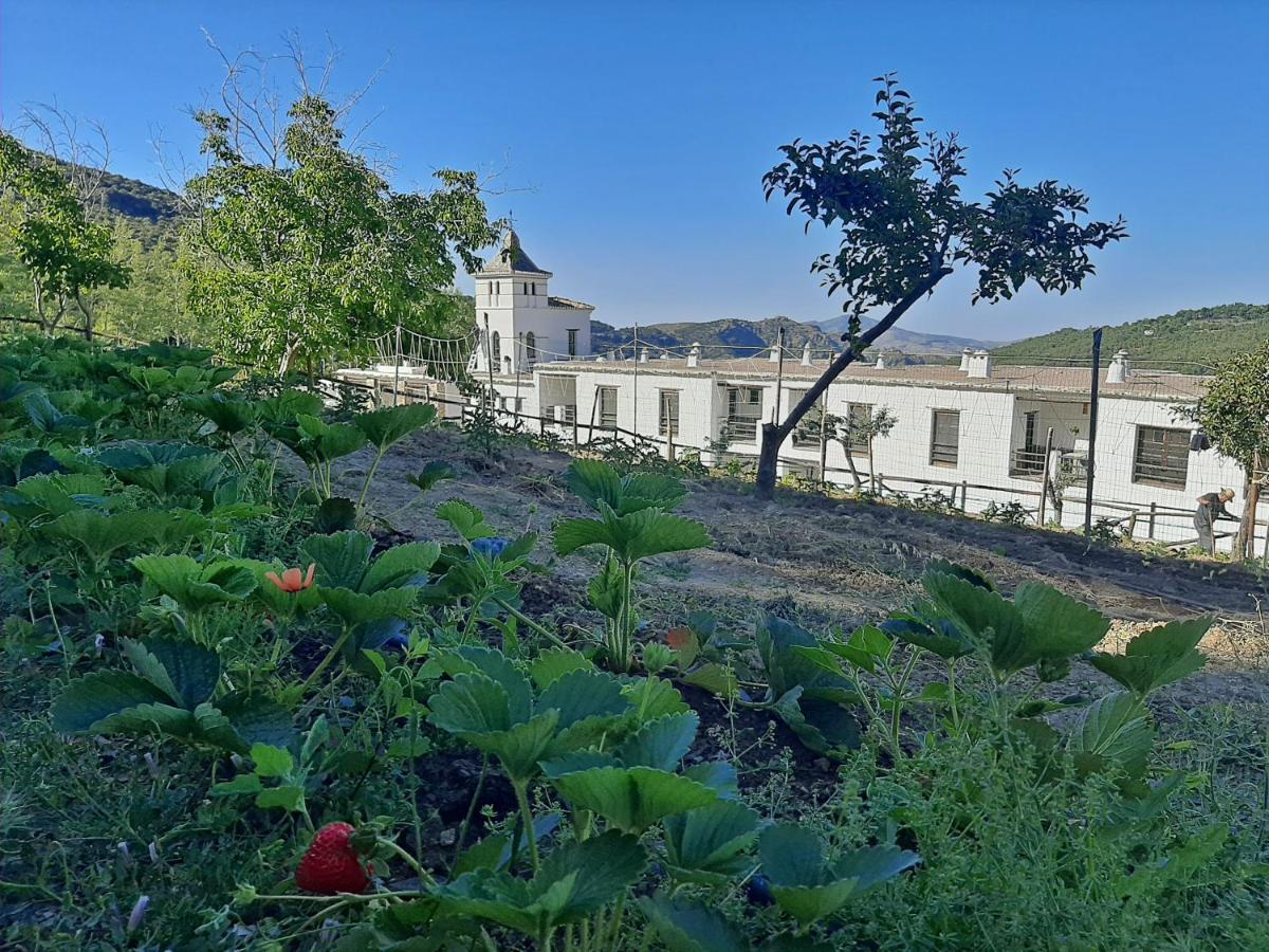 Hotel Apartamento Nueva Alcazaba Busquistar Ngoại thất bức ảnh